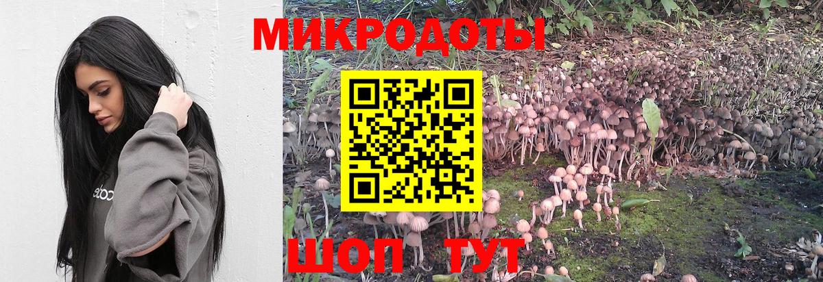 Галлюциногенные грибы Magic Shrooms  Вход с VPN  магазин    Бахчисарай 